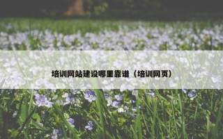 培训网站建设哪里靠谱（培训网页）