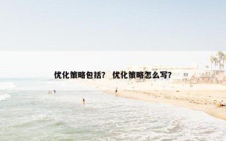 优化策略包括？ 优化策略怎么写？