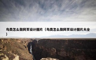 鸟类怎么做网页设计图片（鸟类怎么做网页设计图片大全）