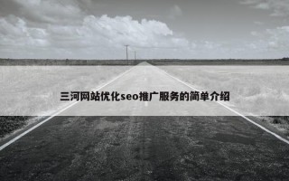 三河网站优化seo推广服务的简单介绍