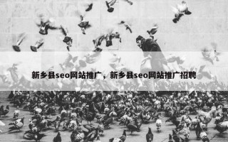 新乡县seo网站推广，新乡县seo网站推广招聘