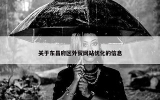 关于东昌府区外贸网站优化的信息
