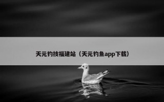天元钓技福建站（天元钓鱼app下载）