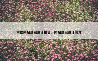 承德网站建设设计报告，网站建设设计简介