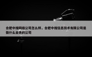 合肥中搜网络公司怎么样，合肥中搜信息技术有限公司是做什么业务的公司