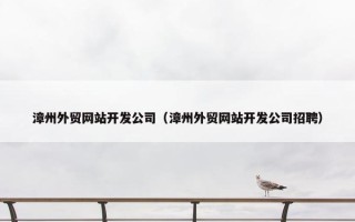 漳州外贸网站开发公司（漳州外贸网站开发公司招聘）