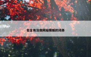 包含有没像网站模板的词条
