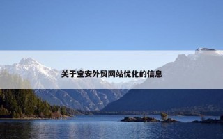 关于宝安外贸网站优化的信息