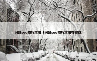 网站seo技巧攻略（网站seo技巧攻略有哪些）