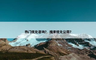 热门优化咨询？ 搜索优化公司？