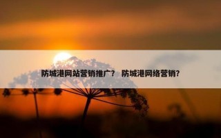 防城港网站营销推广？ 防城港网络营销？