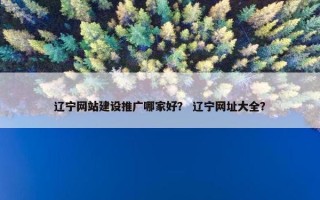辽宁网站建设推广哪家好？ 辽宁网址大全？