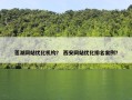 莲湖网站优化机构？ 西安网站优化排名案例？