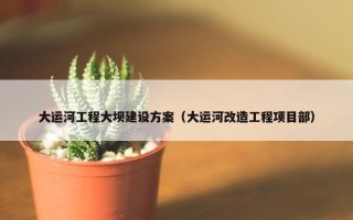 大运河工程大坝建设方案（大运河改造工程项目部）