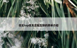 优化top优先忠魁互联的简单介绍
