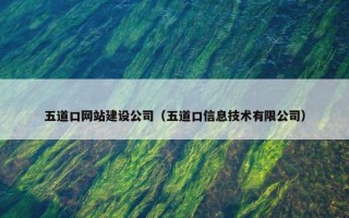 五道口网站建设公司（五道口信息技术有限公司）