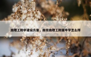 南理工附中建设方案，南京南理工附属中学怎么样