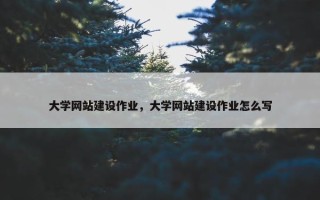 大学网站建设作业，大学网站建设作业怎么写