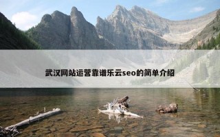 武汉网站运营靠谱乐云seo的简单介绍
