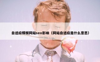 自适应模板网站seo影响（网站自适应是什么意思）