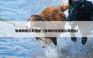 智威网络公司地址（智威科技有限公司地址）