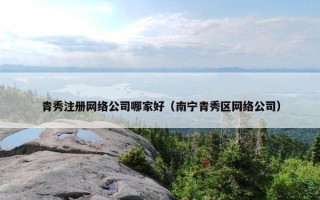 青秀注册网络公司哪家好（南宁青秀区网络公司）