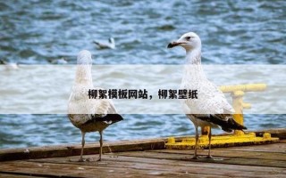 柳絮模板网站，柳絮壁纸