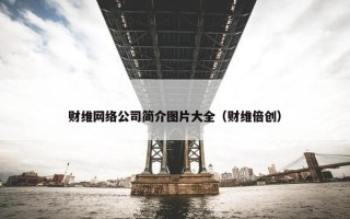 财维网络公司简介图片大全（财维倍创）