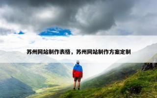 苏州网站制作表格，苏州网站制作方案定制