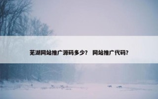 芜湖网站推广源码多少？ 网站推广代码？
