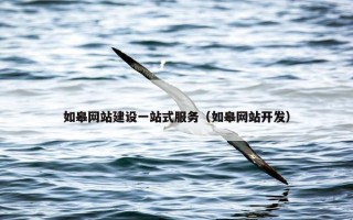 如皋网站建设一站式服务（如皋网站开发）