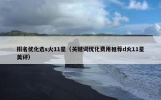排名优化选s火11星（关键词优化费用推荐d火11星美评）