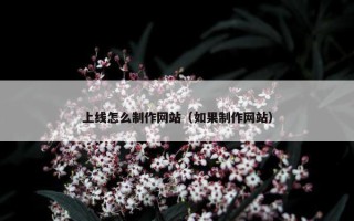 上线怎么制作网站（如果制作网站）