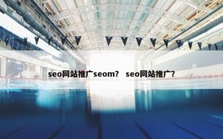 seo网站推广seom？ seo网站推广？