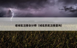 老域名注册会计师（域名历史注册查询）