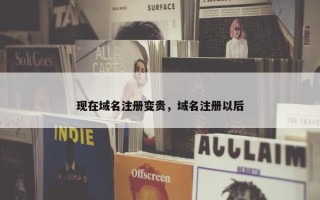 现在域名注册变贵，域名注册以后