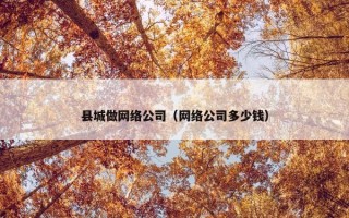县城做网络公司（网络公司多少钱）