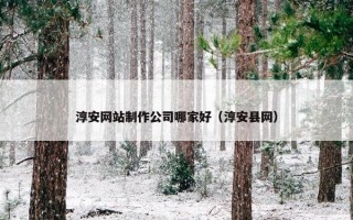 淳安网站制作公司哪家好（淳安县网）