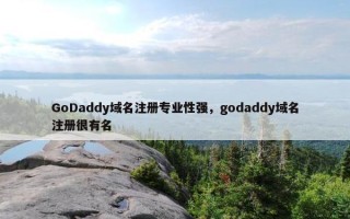 GoDaddy域名注册专业性强，godaddy域名注册很有名