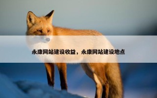 永康网站建设收益，永康网站建设地点