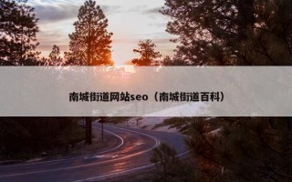 南城街道网站seo（南城街道百科）