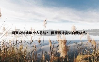 网页设计实训个人总结？ 网页设计实训自我总结？