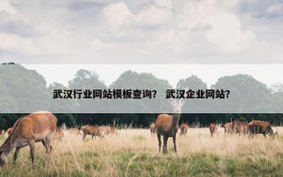 武汉行业网站模板查询？ 武汉企业网站？