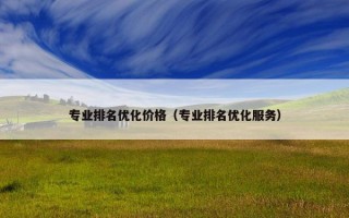 专业排名优化价格（专业排名优化服务）