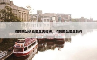 招聘网站信息采集表模板，招聘网站采集软件