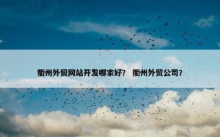 衢州外贸网站开发哪家好？ 衢州外贸公司？
