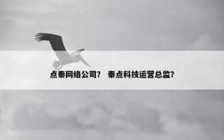 点秦网络公司？ 秦点科技运营总监？