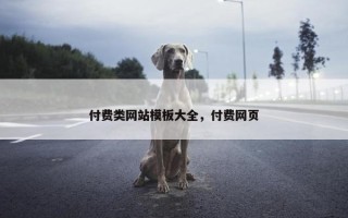 付费类网站模板大全，付费网页