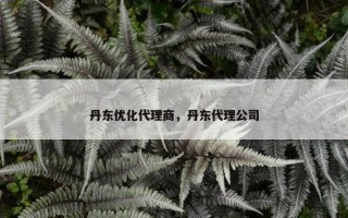 丹东优化代理商，丹东代理公司