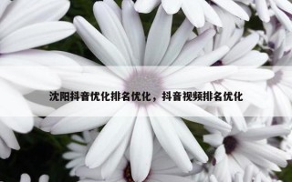 沈阳抖音优化排名优化，抖音视频排名优化